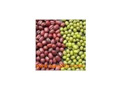 Mung Beans图1