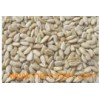 Sunflower Seeds Kernels