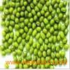 Sell_2009_Green_Mung_Bean