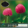 Red Clover Extract 20% Isoflavones(sales06@nutra-max.com)