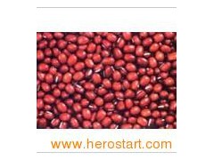 Small Red Kidney Beans (002图1