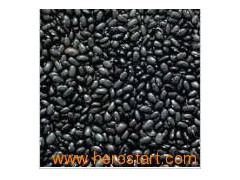 Black Kidney Beans (0095)图1