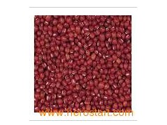 Small Red Kidney Beans (0204)图1