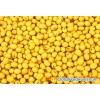 Soybean Germ Extract-Isoflavones