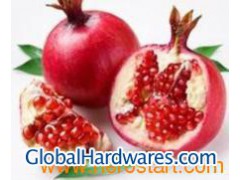 Pomegranate P.E.图1