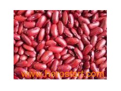 Red Kidney Beans (009)图1