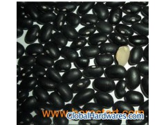 Black Kidney Bean (BKB)图1