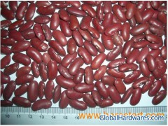 Dark Red Kidney Beans图1