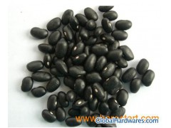 Black Beans图1