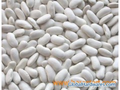 White Kidney Beans (MWK-1)图1