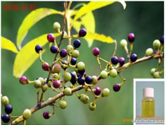 Litsea Cubeba Oil图1
