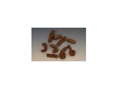 Bistort extract powder图1
