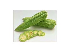 Bitter Melon extract powder图1