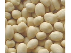 Hebei shenzhou Blanched peanut kernels图1
