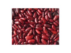 Red Kidney Beans图1