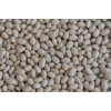 Japanese White Kidney Bean