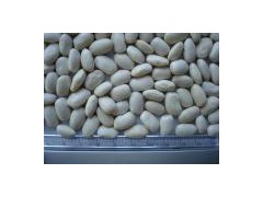 Square White Kidney Beans图1