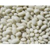 White Kidney Beans, Japnese Type
