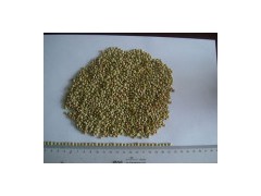 2010crop Green Lentils图1