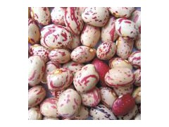 Bean - Light Speckle Kidney Bean图1
