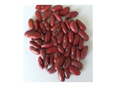 Red Kidney Beans (DRKB-N)图1