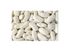 Medium White Kidney Bean图1