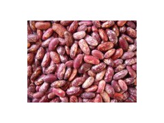 Bean - Red Speckle Kidney Bean图1