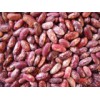 Bean - Red Speckle Kidney Bean
