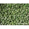 IQF Peas / Frozen Peas