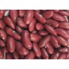Dark Red Kidney Beans (DRKB)