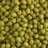 Green Mung Bean (001)