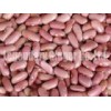 Light Red Kidney Beans