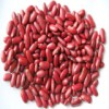 British Red Kidney Bean