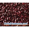 hot sale 2010 newest red kidney beans