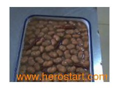 Canned Broad Beans With Chili 397gx24 (7106)图1