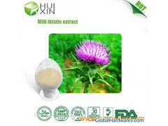 Milk Thistle Extract 80%,98%,DAB10图1
