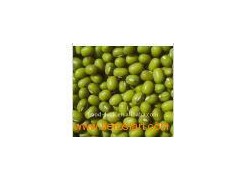 High_Quality_mung_bean图1