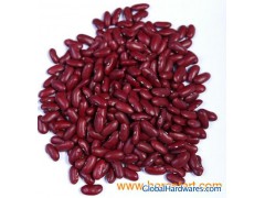 British Dark Red Kidney Beans (DRKB)图1