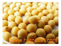 Soy Isoflavones P.E图1