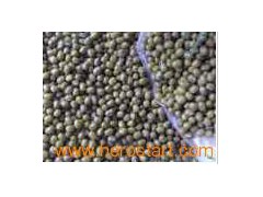 Mung Beans 012图1