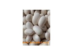 Japanese White Kidney Beans (004)图1