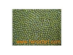 Mung Beans (003)图1