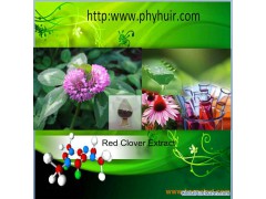 Red Clover extract图1