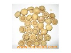 Canned Champignon Mushroom图1