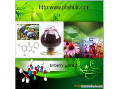 Bilberry extract图1
