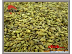 95% Quercetin by HPLC图1