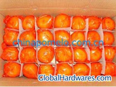 Honey Mandarin Orange图1