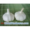 pure white garlic
