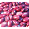Small Red Kidney Bean