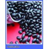 Black Kidney Beans